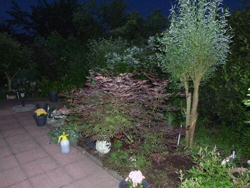 Foto - Einfamilienhaus in Ruppichteroth zum Kaufen