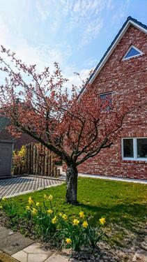 Foto - Moderne Doppelhaushälfte, Bj. 2021 mit SW-Terrasse