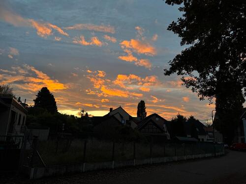 Foto - Wohnungsanzeige - 700,00 EUR Kaltmiete,