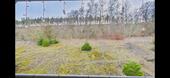 Foto - 5 Zimmer Wohnung - 340.000,00&nbsp;EUR Kaufpreis, ca.&nbsp; 106,00&nbsp;m&sup2;