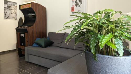 Foto - andere in Berlin zur Miete