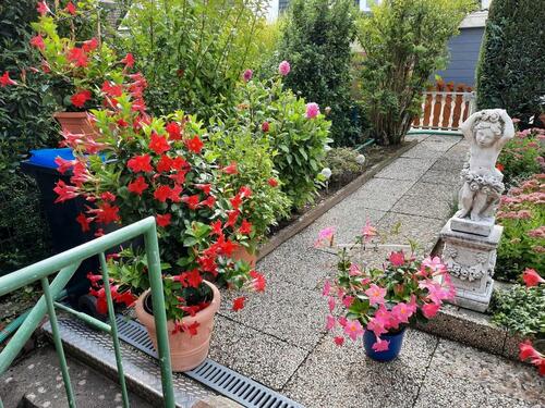 Foto - 4 Zimmer Reihenhaus in Telgte