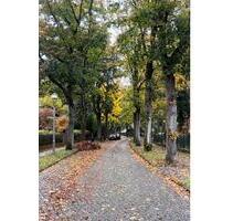 Souterrain Etage in einem Haus in Frohnau - Berlin Pankow
