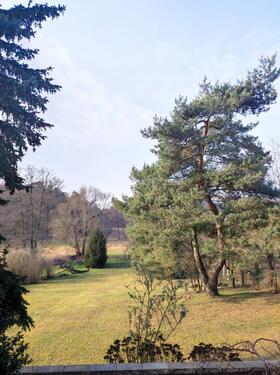 Foto - 5 Zimmer Doppelhaushälfte in Guben