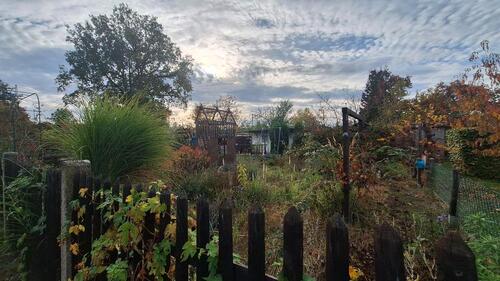 Foto - Pachtgarten Kleingarten abzugeben