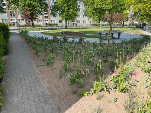 Foto - 2 Zimmer Etagenwohnung in Gnoien