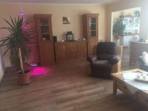 Foto - Bungalow in Groß Köris zum Kaufen