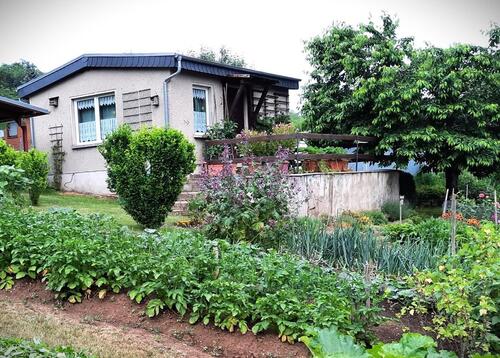 Foto - Grundst&uuml;ck zur Miete in Lehesten