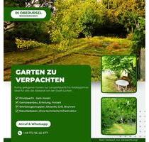 Gartengrundstück zu verpachten - 160,00&nbsp;EUR Kaltmiete, ca.&nbsp; 0,00&nbsp;m&sup2; in Oberursel (Taunus) (PLZ: 61440)