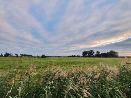 Foto - Kleingarten in Brake abzugeben - 400,00 EUR Kaltmiete, ca.  0,00 m²