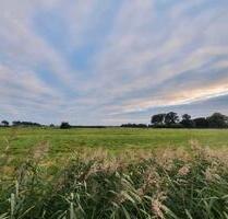Kleingarten in Brake abzugeben - 400,00 EUR Kaltmiete, ca.  0,00 m² in Brake (Unterweser) (PLZ: 26919)