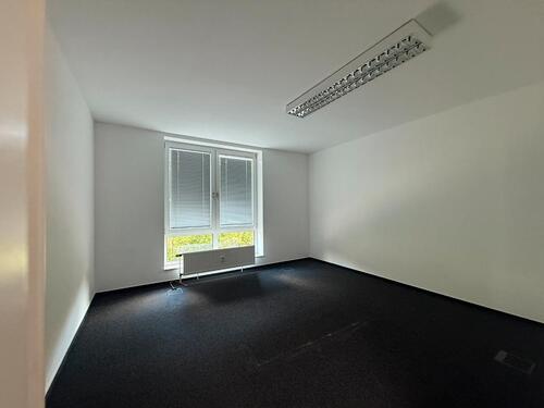 Foto - andere in Bonn