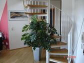 Foto - 6 Zimmer Etagenwohnung in Mörfelden-Walldorf