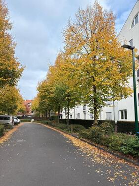 Foto - Etagenwohnung zur Miete in Hürth