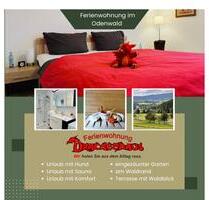 Ferienwohnung mit Sauna. Hund willkommen. OdenwaldBergstraße - Rimbach