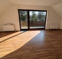 Helle sanierte 3-Zimmer-Wohnung mit Balkon in Mainz-Kostheim - Wiesbaden