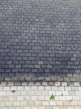 Foto - andere zur Miete in Schallstadt