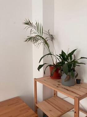 Foto - Etagenwohnung in Halle (Saale) zur Miete