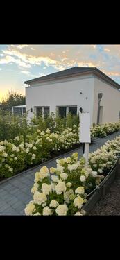 Foto - Von Privat !!! Einfamilienhaus Leben im Elm - in Räbke