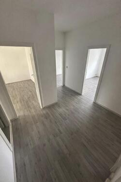 Foto - 4 Zimmer Etagenwohnung in Dresden