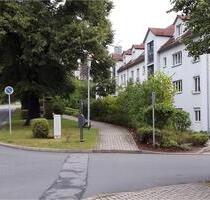 1-Zi. Appartment mit Terrasse und Garten - Heidenau