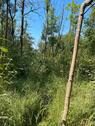 Foto - Grundst&uuml;ck in Pförring