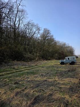 Foto - Frei vom Öl-, Gas- und Strompreis, Waldgrundstück in Schwarzenau