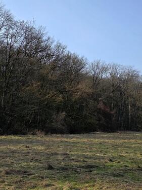 Foto - Grundst&uuml;ck zur Miete in Schwarzach am Main
