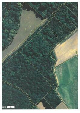 Foto - Grundst&uuml;ck in Schwarzach am Main