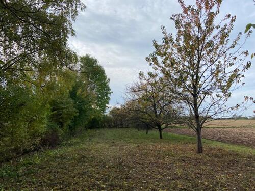 Foto - Grundstück in Asperg zur Miete