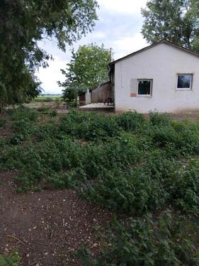Foto - Einfamilienhaus in Wallersdorf zum Kaufen