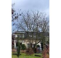 3,5 Zimmer Wohnung zum 01.05.2026 zu vermieten. - Neukirchen-Vluyn