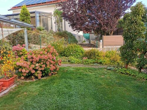 Foto - Doppelhaushälfte zum Kaufen in Bernhardswald