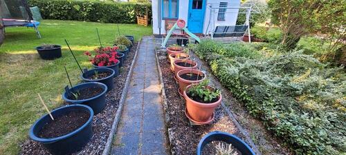 Foto - Grundst&uuml;ck zur Miete in Zwickau