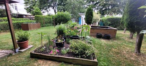 Foto - Grundst&uuml;ck in Zwickau zur Miete