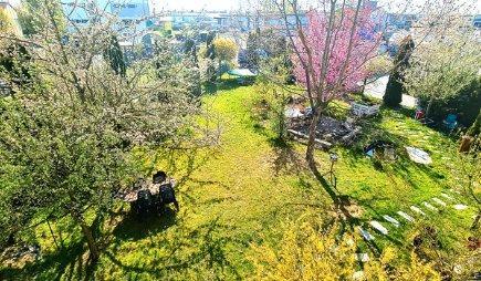 Foto - Etagenwohnung in Langenargen zur Miete