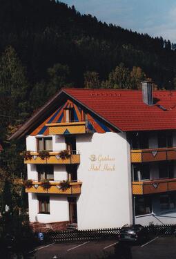 Foto - Einfamilienhaus in Enzklösterle zum Kaufen