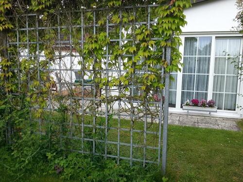 Foto - andere in Koserow