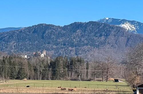 Foto - 5 Zimmer Einfamilienhaus zum Kaufen in Raubling
