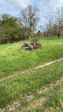 Foto - Grundstück, Wiese, Garten zu vermieten