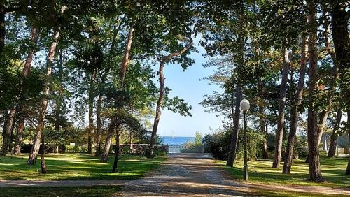 Foto - 2 Zimmer Etagenwohnung zur Miete in Timmendorfer Strand