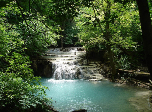 Foto - Etagenwohnung in Hamburg