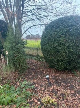 Foto - 9 Zimmer Mehrfamilienhaus, Wohnhaus zum Kaufen in Mönchengladbach
