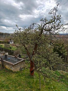 Foto - Grundst&uuml;ck in Dresden zur Miete