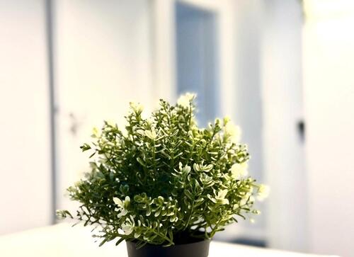 Foto - Etagenwohnung in Hamburg zur Miete