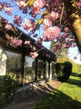 Foto - Einfamilienhaus in Korbach zum Kaufen