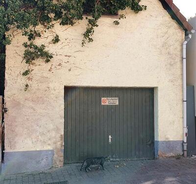 Foto - andere zur Miete in Ober-Ramstadt