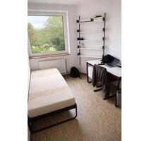 Möblierte 1-Zimmer-Wohnung in Mainz zur Zwischenmiete ab Juni20