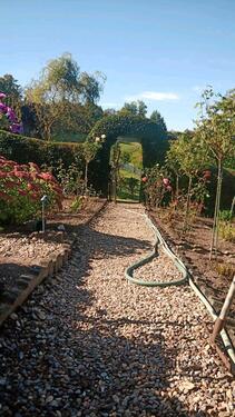 Foto - Grundst&uuml;ck in Zschorlau zur Miete