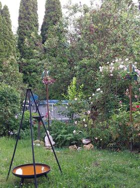 Foto - 3 Zimmer Etagenwohnung zur Miete in Amberg